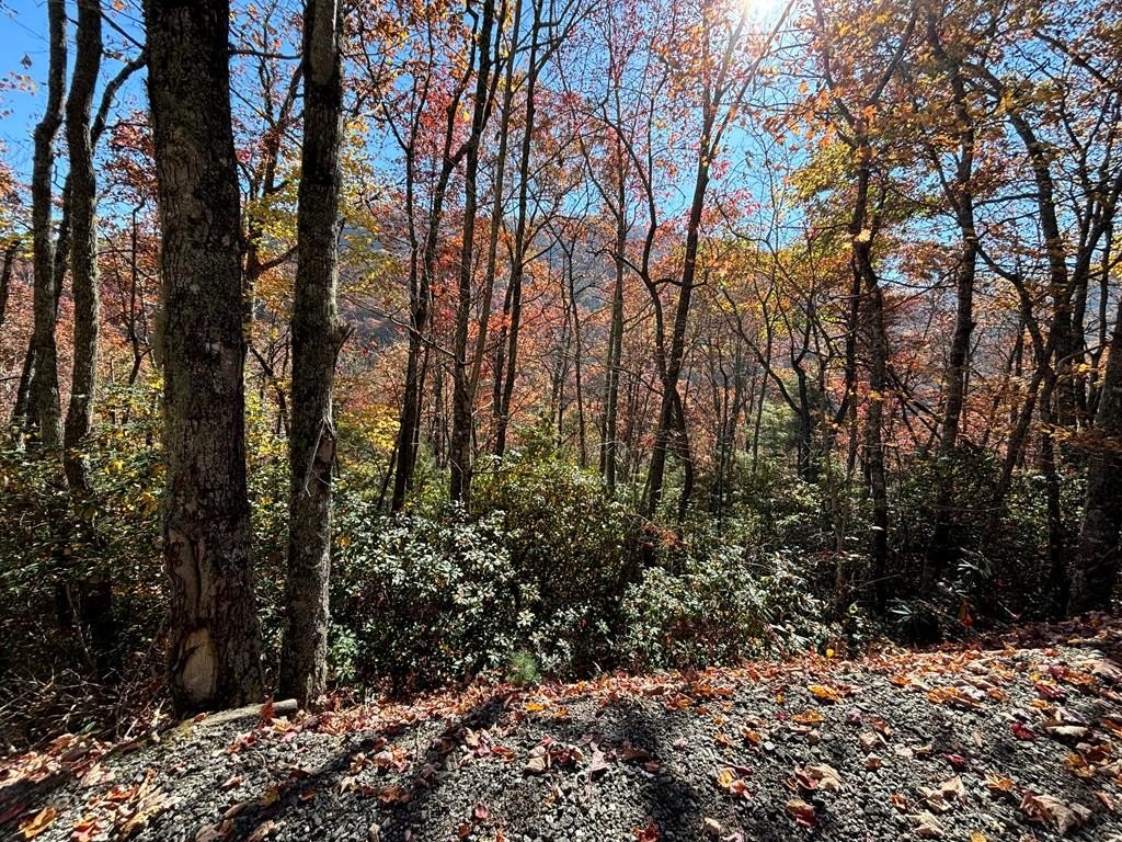 Other - Coppermine Ridge lot: 33, Whittier, NC