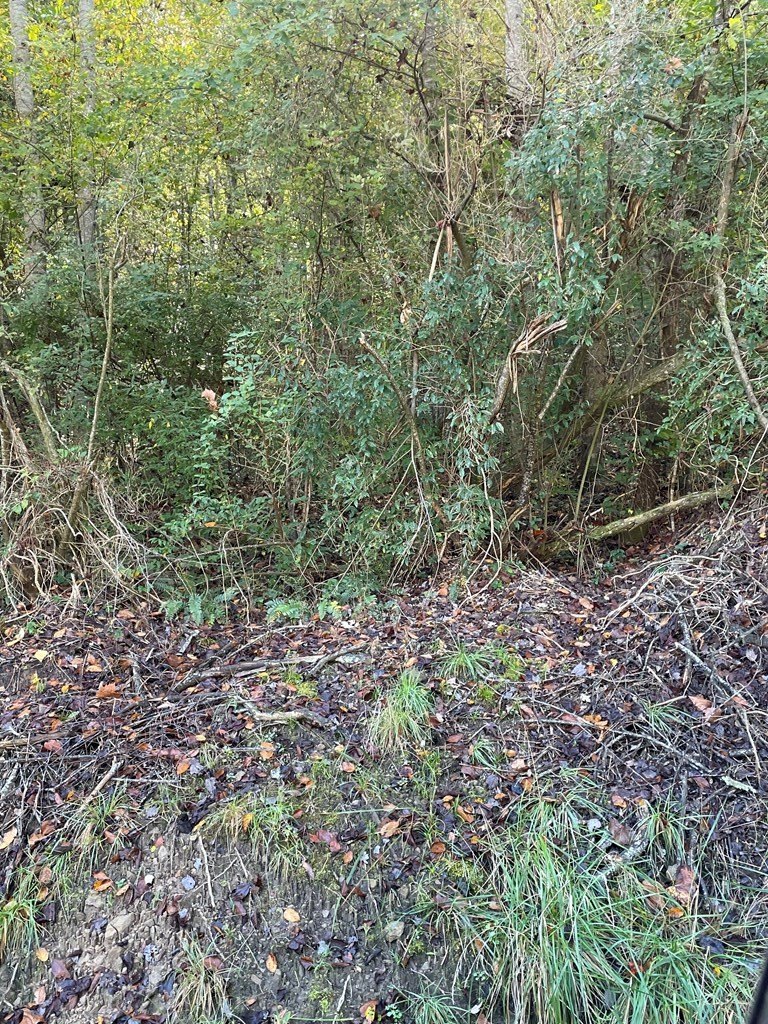 Other - 0 RT 1635 (Map: 053-00-00-00.001) Oakley Road, Salyersville, KY