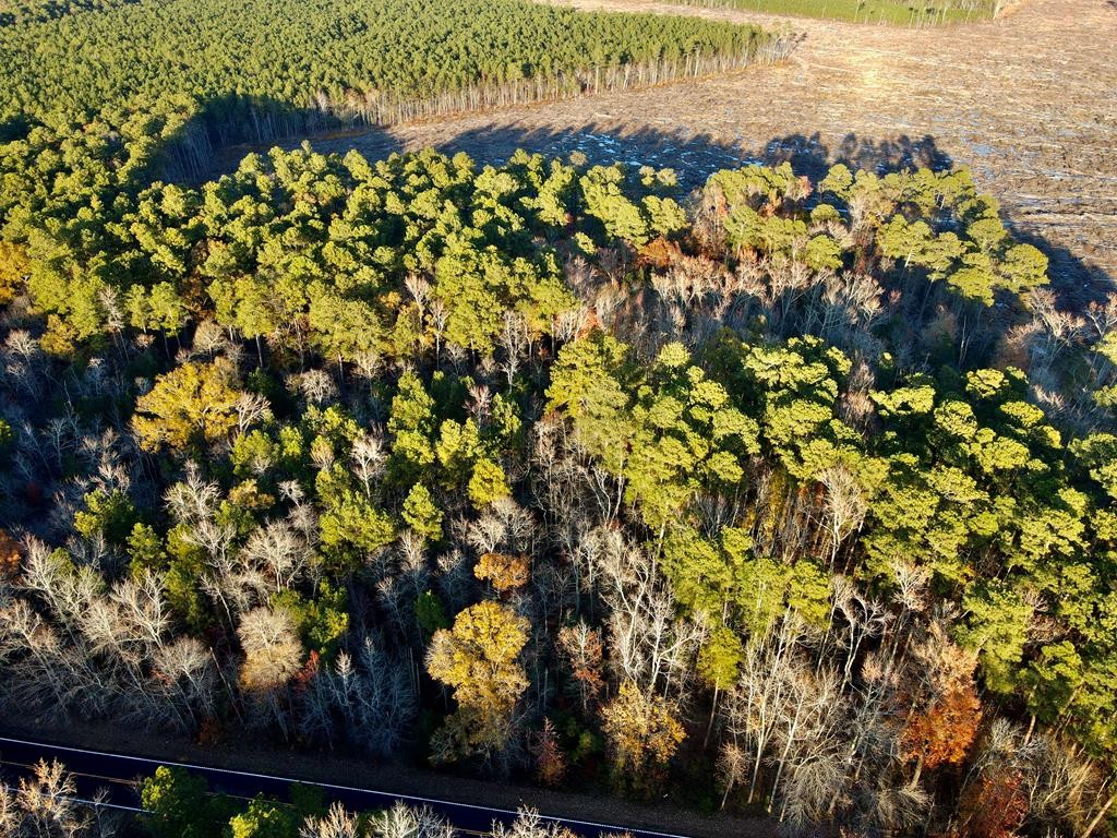 Lot 98 Northumberland Hwy  