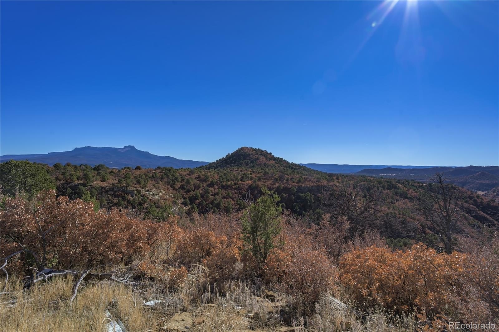 Plots and Land - 14633 Rancho Verde Road, Trinidad, CO