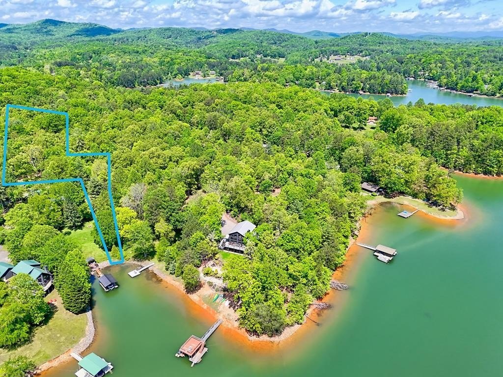 Other - Lots 3&5 Cozy Cove Road, BLAIRSVILLE, GA