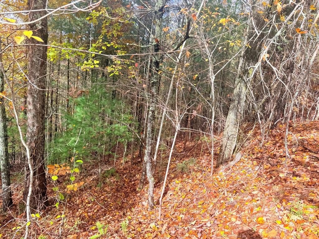 Other - 12-4 Cardinal Rd., MURPHY, NC