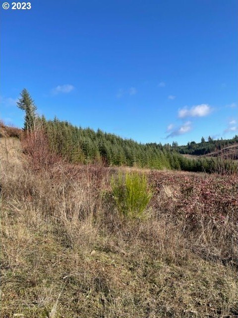 Other - Buck Hollow (18) Rd, Sheridan, OR