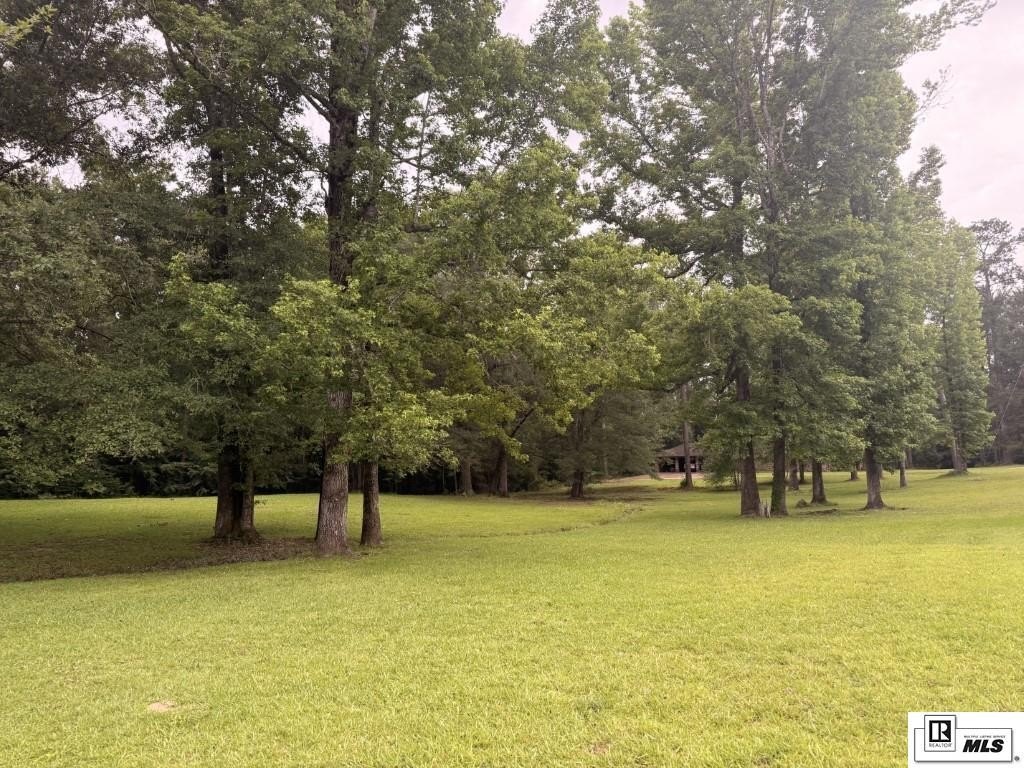 Other - BEECHWOOD LOOP, Urania, LA