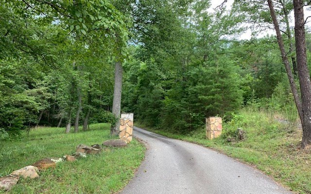Other - Lot 18 Bruce Mountain, BLAIRSVILLE, GA