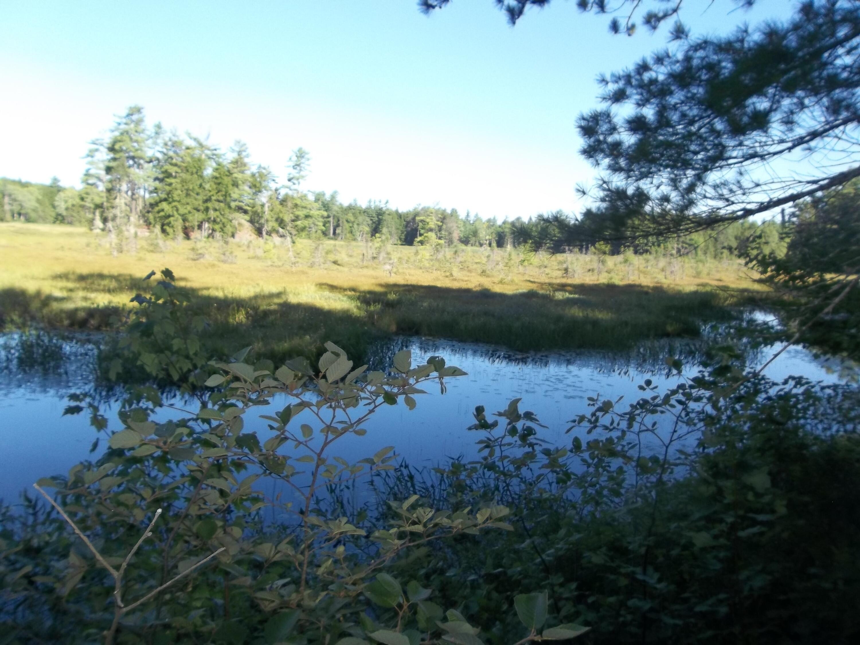 Other - Hayward Point Road lot: 12, Day Block Twp, ME