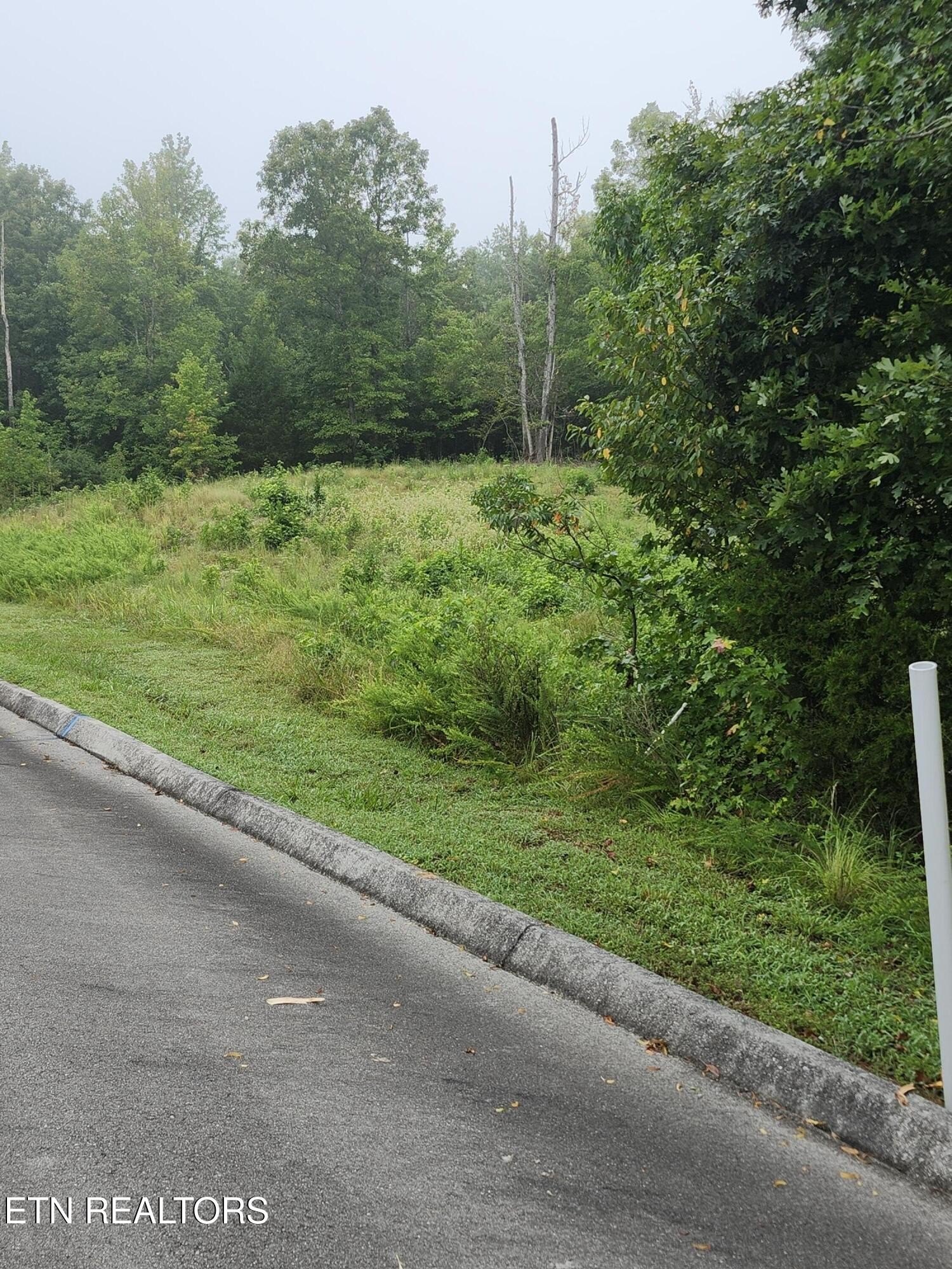 Other - 302 Caney View (w/dock) Drive, Harriman, TN