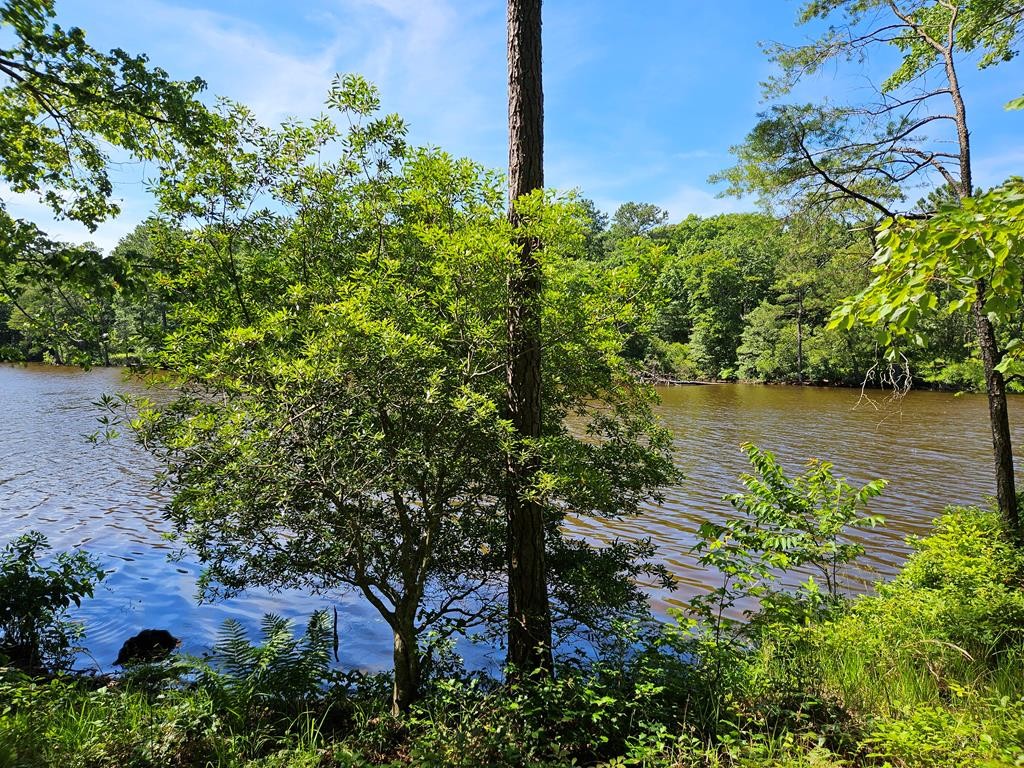 Lot 12 Greenwood Bch Rd  