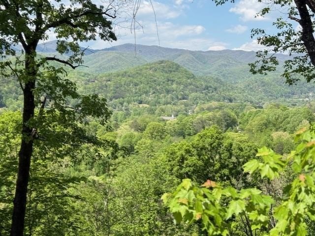 Other - Lot 43 Silo View, OTHER, NC