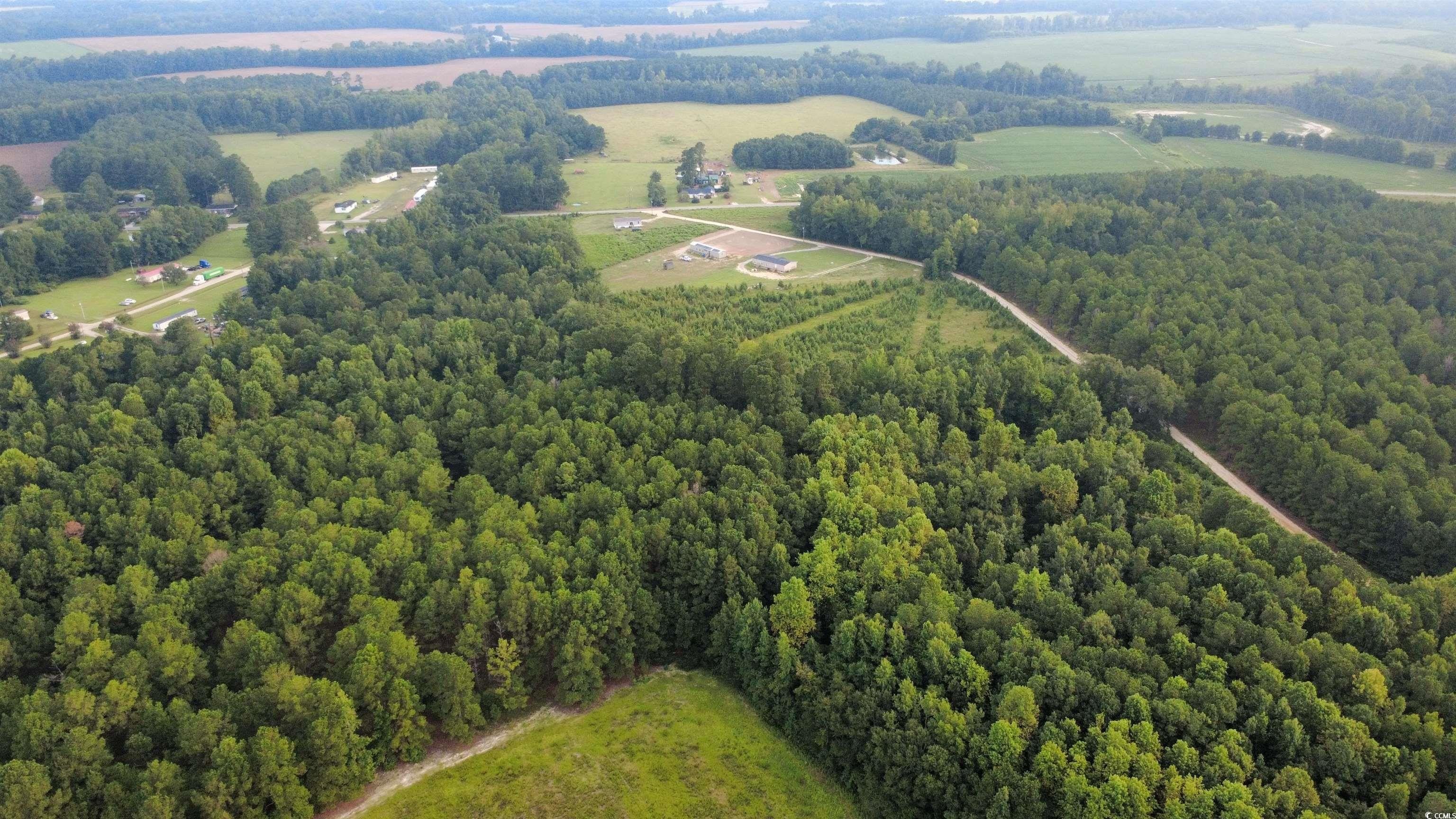 Other - Tooge Hayes Rd. lot: 9, Mullins, SC