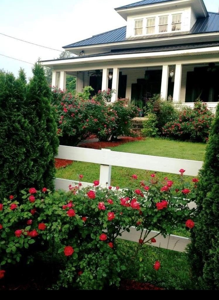 Single Family 4BR 1BA - 36 Spring Branch, Pikeville, KY
