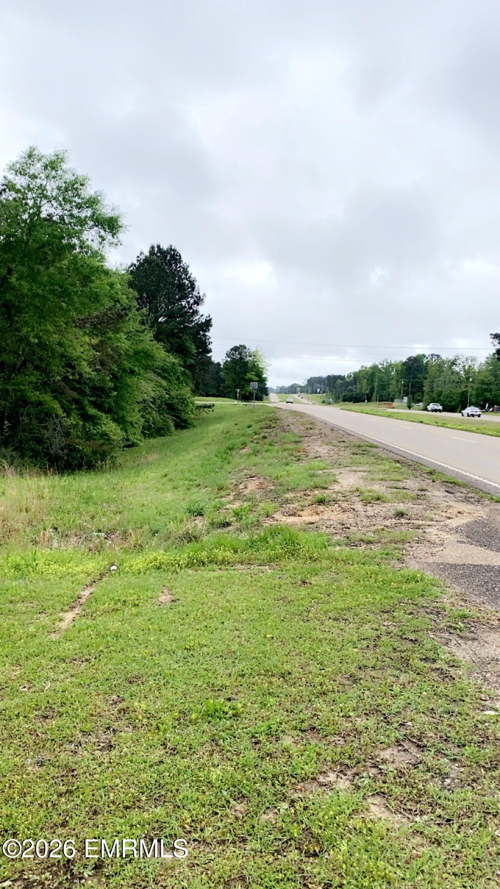 Plots and Land - 8487 Mississippi 19, Collinsville, MS