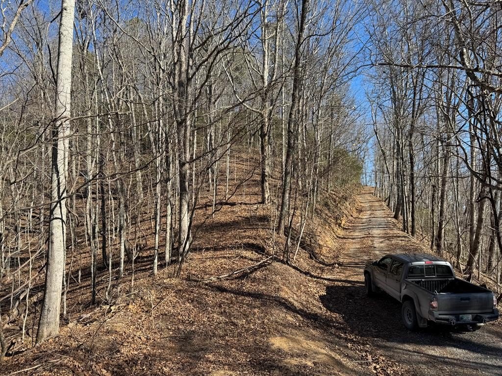 Other - Sam Davis, Bryson City, NC