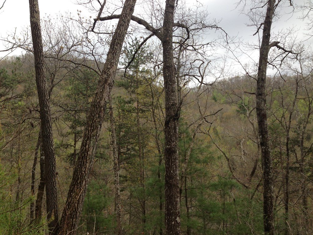 Other - 55 Greasey Creek Road, MURPHY, NC