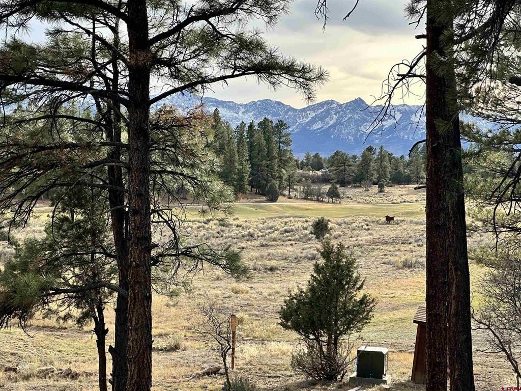 Single Family - 46 Marmot Court, Ridgway, CO