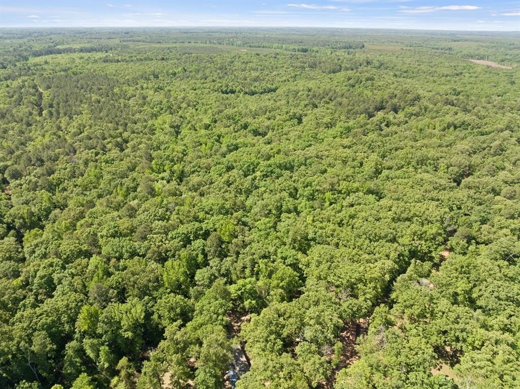 Plots and Land - 307 Fish Trap, Naples, TX