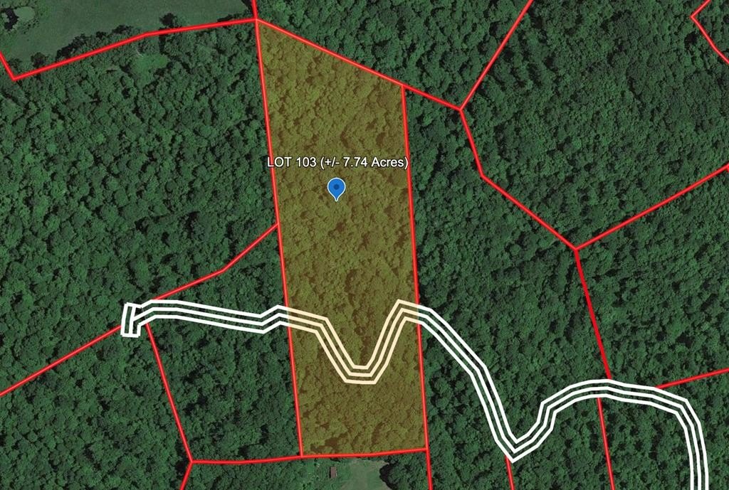Other - 160 BRAMBLEBERRY BEND, BRAGG, WV