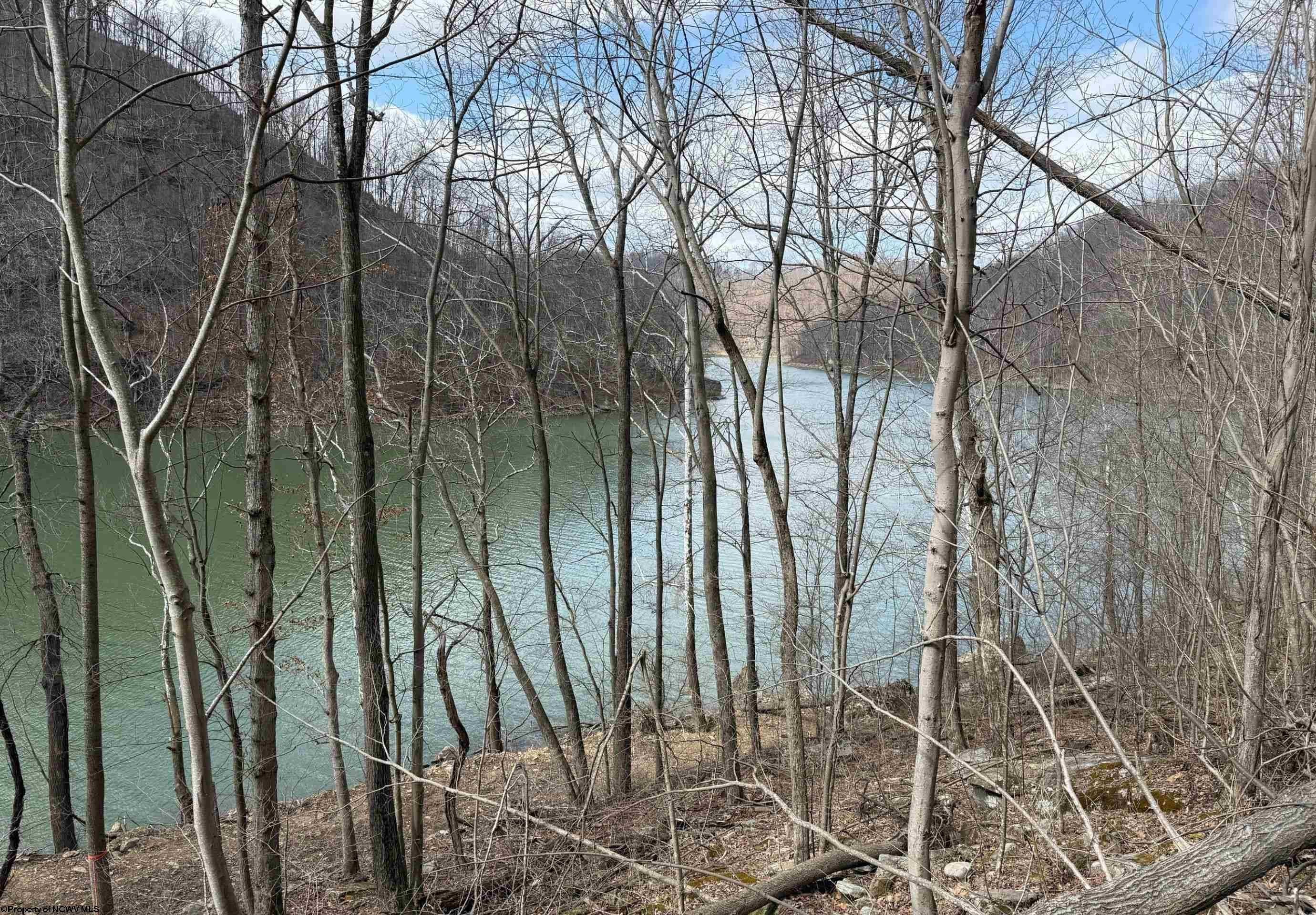 Other - Lot 7 Brooklyn Way, Moatsville, WV