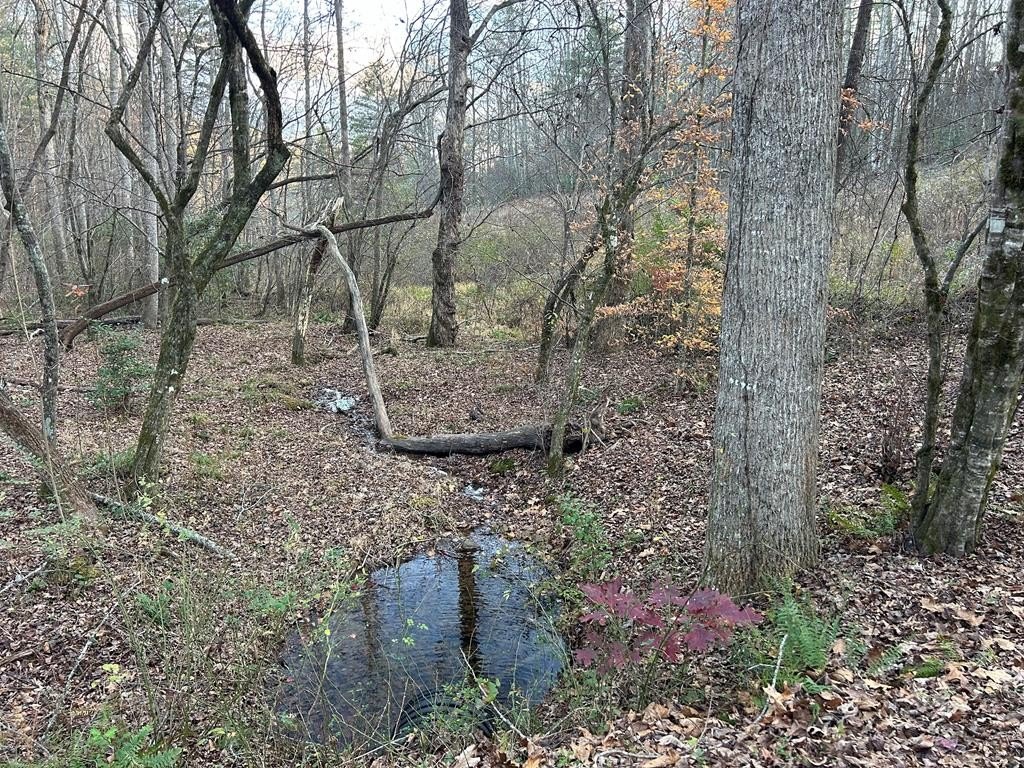Other - Lot 12 Tombstone Drive, Blairsville, GA