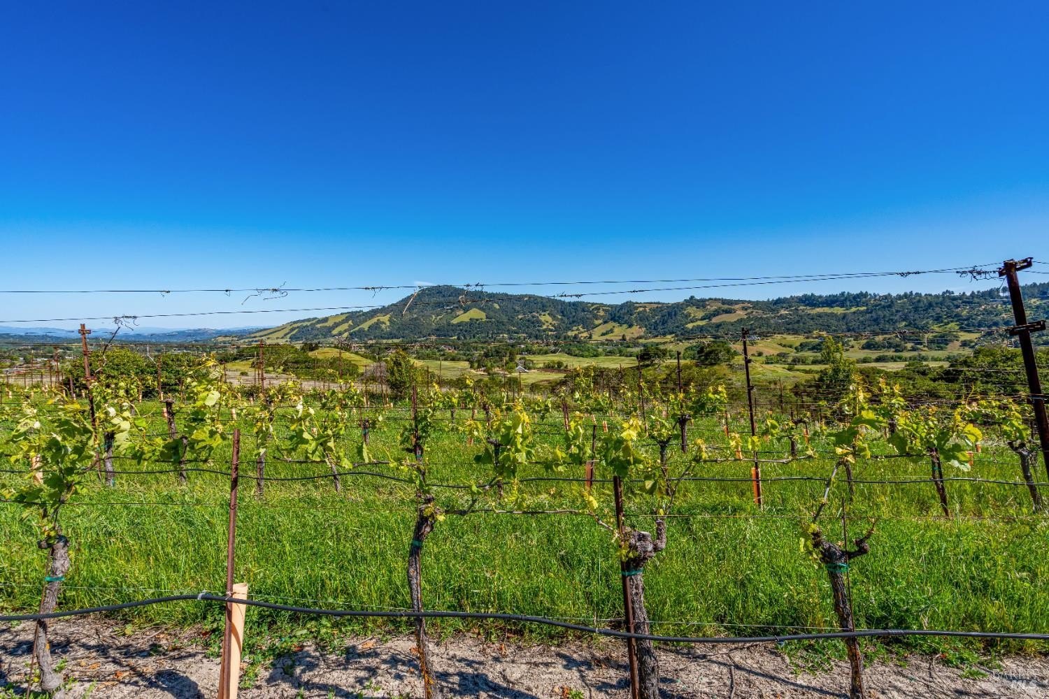 Other - 4560 Sonoma Mountain Road, Santa Rosa, CA