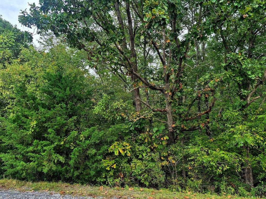 Other - Wildflower Lane, Dillwyn, VA