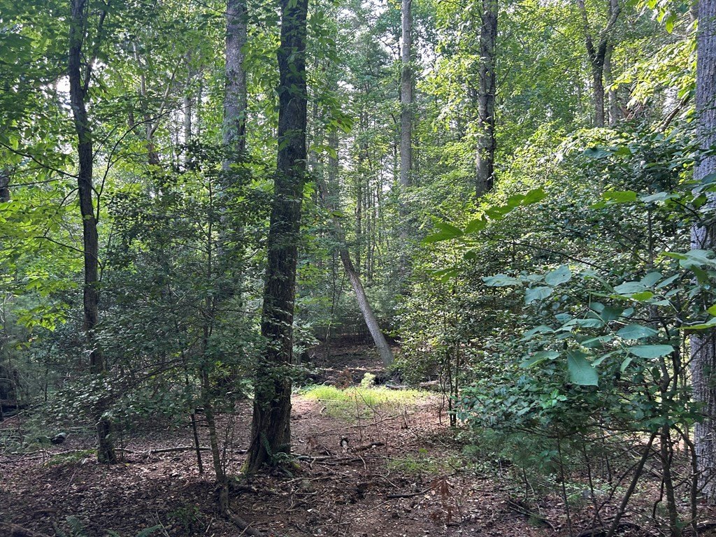Other - L 10&16 Josie Drive, Blairsville, GA