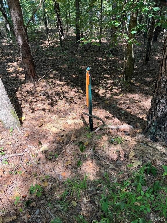 Other - 0 Highway E, Lowndes, MO
