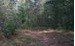 Other - Hwy 515, Talking Rock, GA