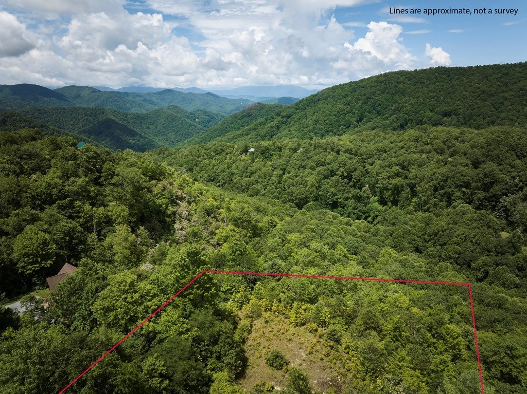 Other - Lot 24 Piedmont Dr, BRYSON CITY, NC