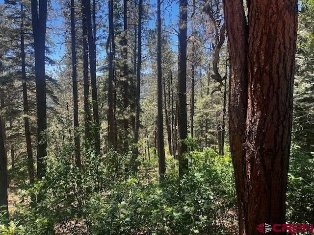 Other - 2221 Bear Creek Road, Bayfield, CO