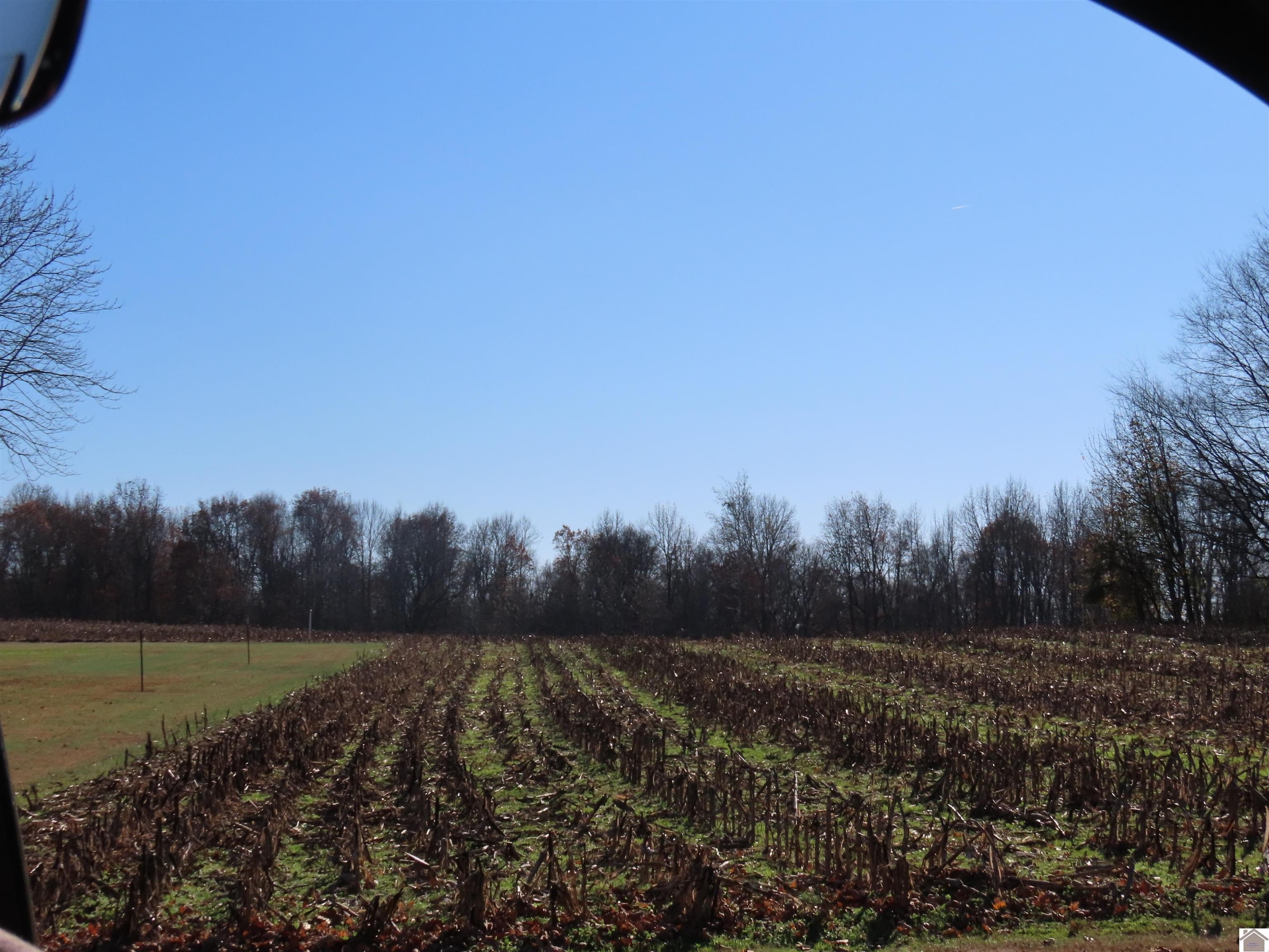 Plots and Land - 00 Boyd Rd, Wingo, KY