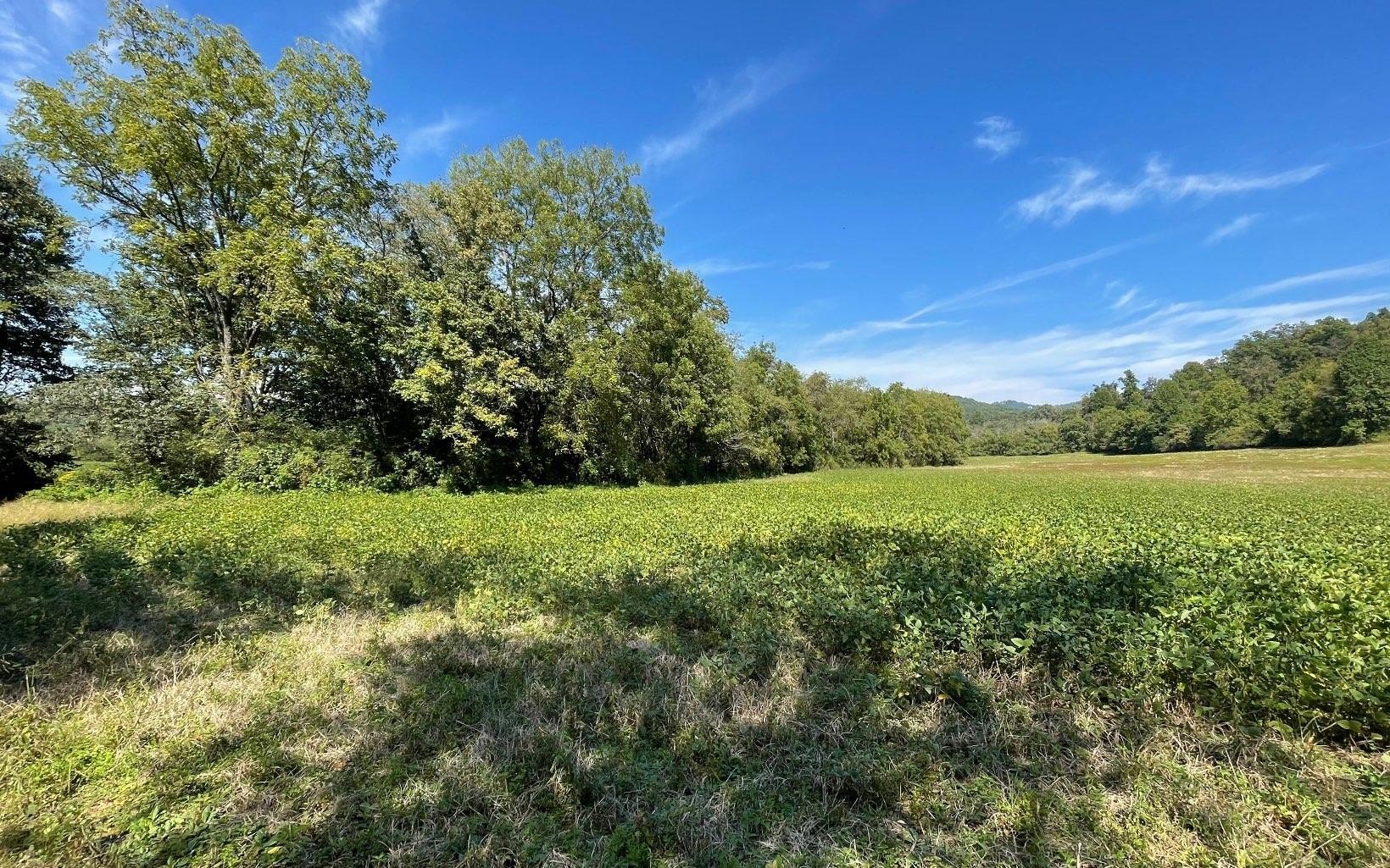 Other - 37+ac Jarrett Road, Hayesville, NC