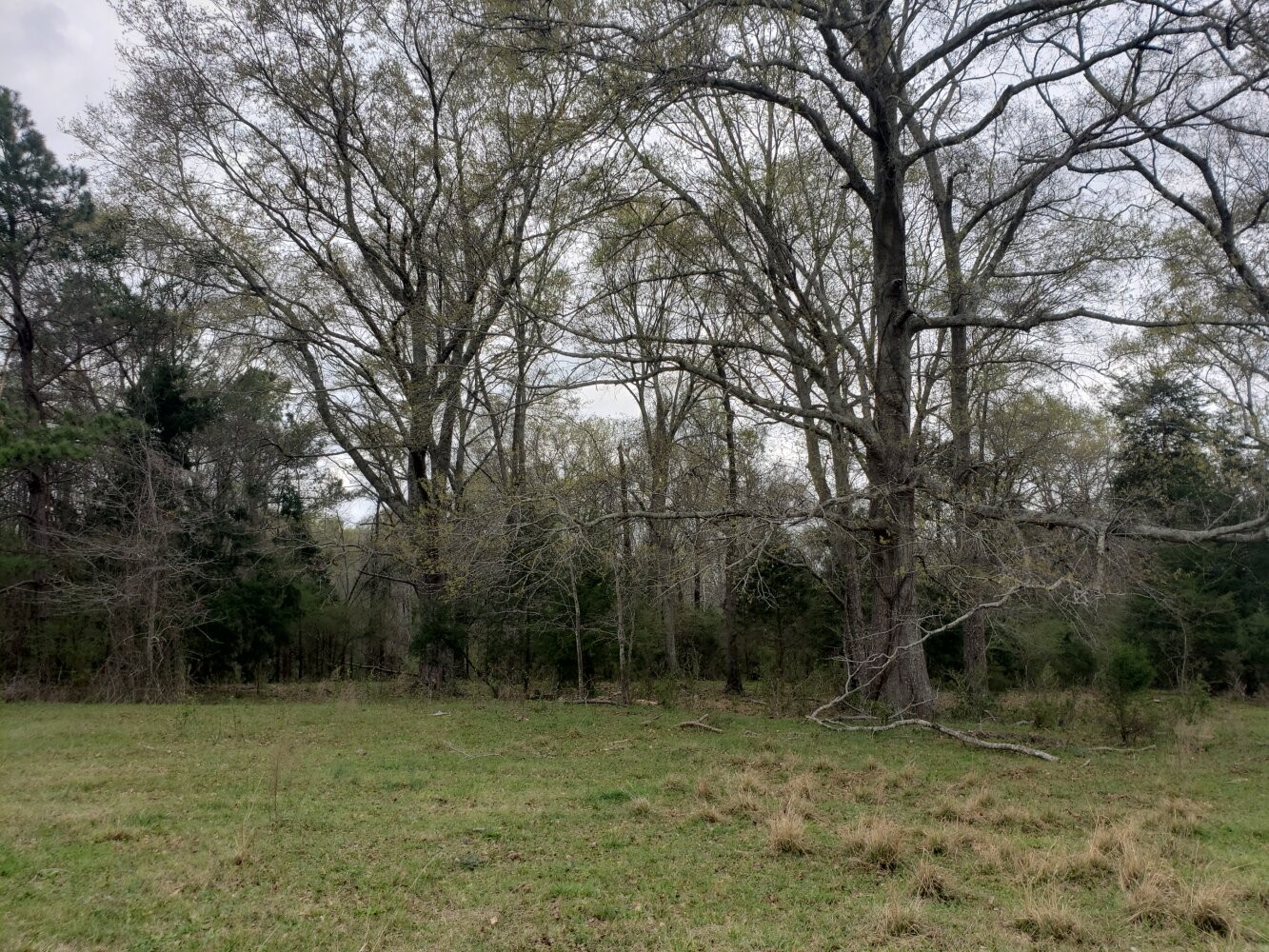 000D John C Martin Rd