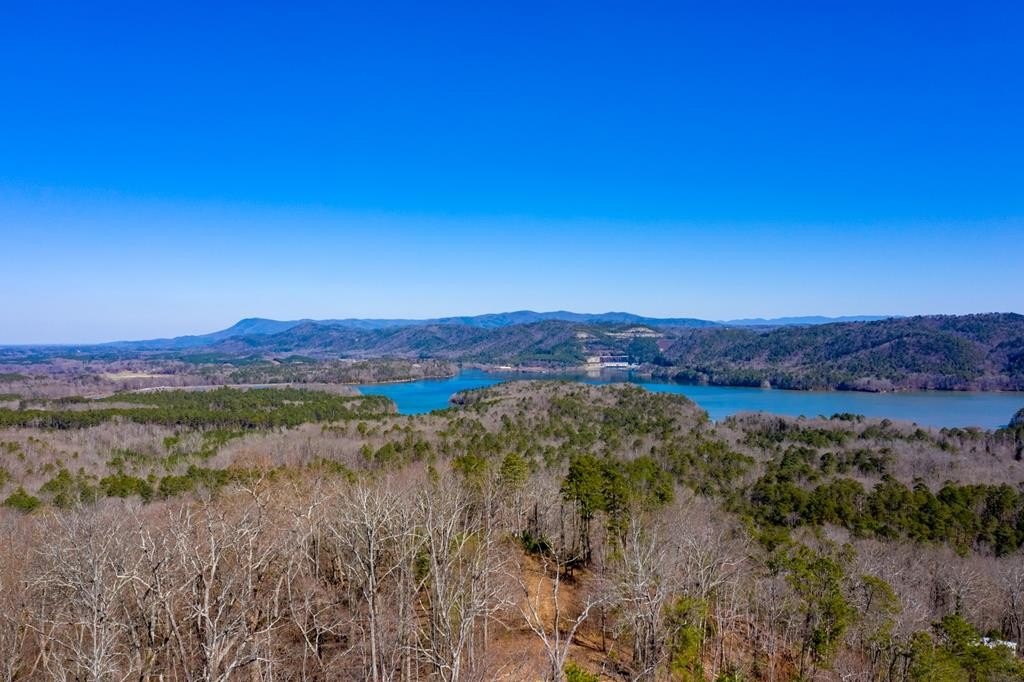 Other - 278 Carters Lake Overlook, Ranger, GA