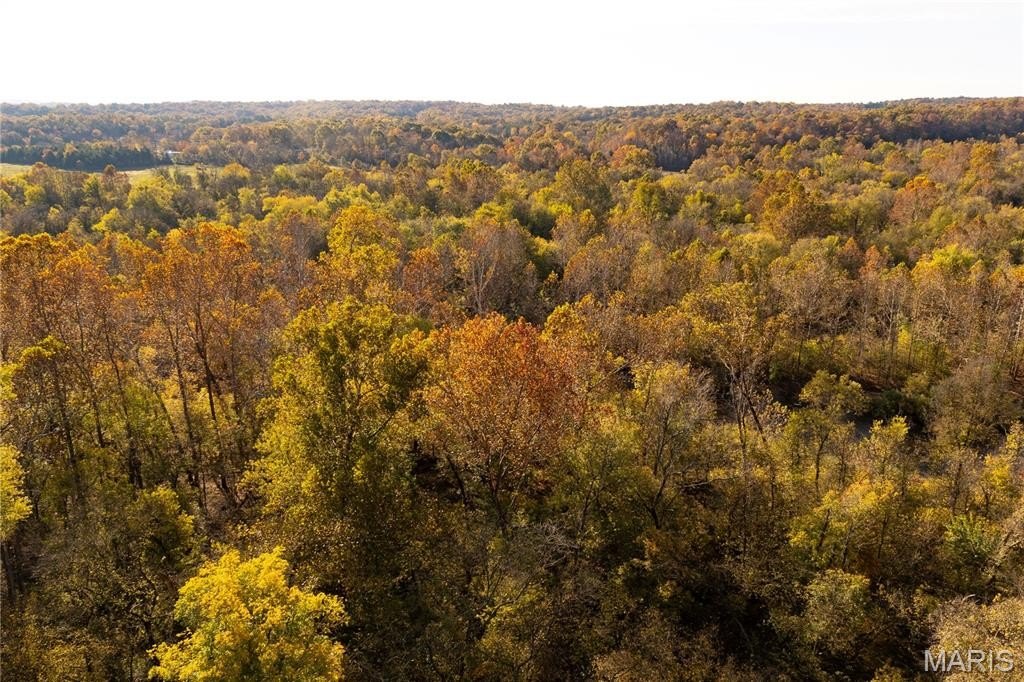 Other - Lot 1f Short Road, Blackwell, MO