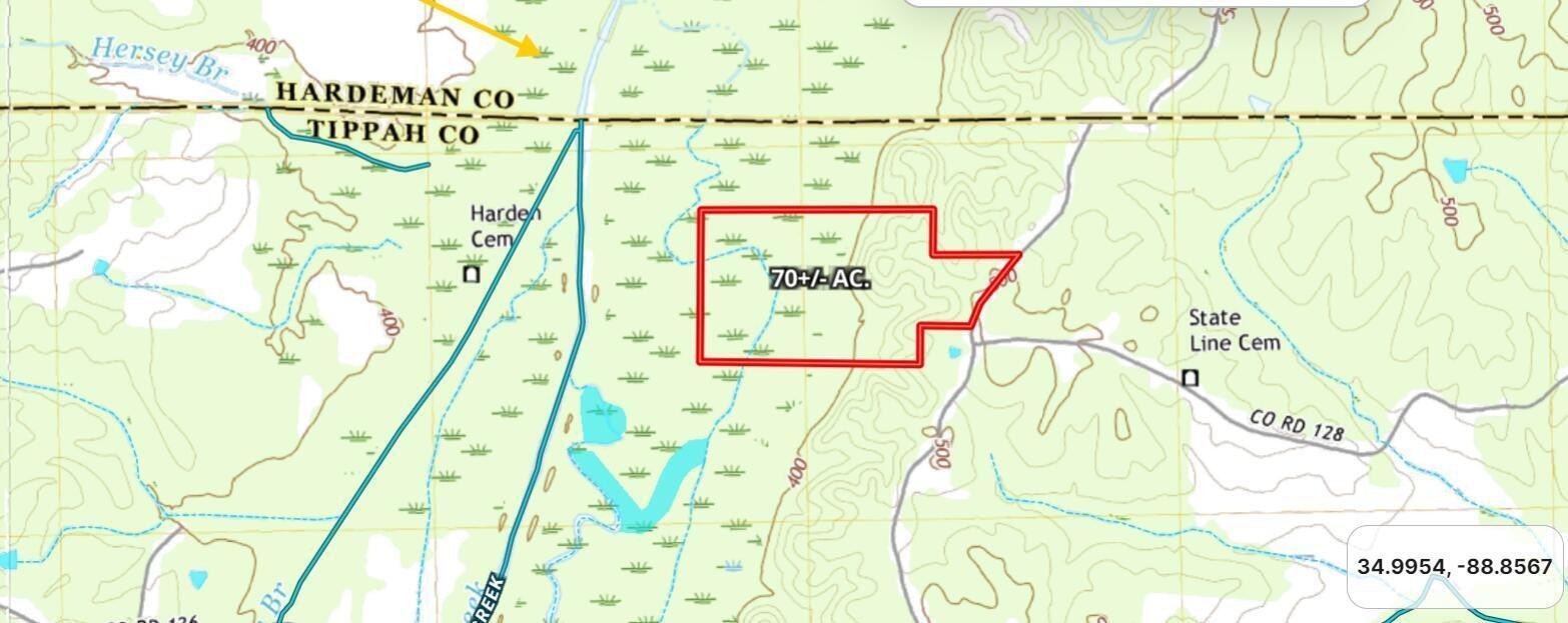 Single Family - 2951 County Road 100, Walnut, MS