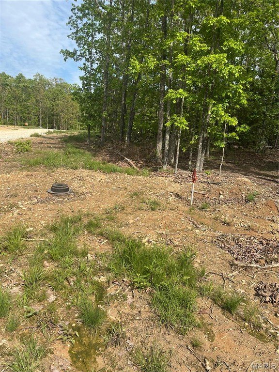 Other - 7 CR 4180, Salem, MO