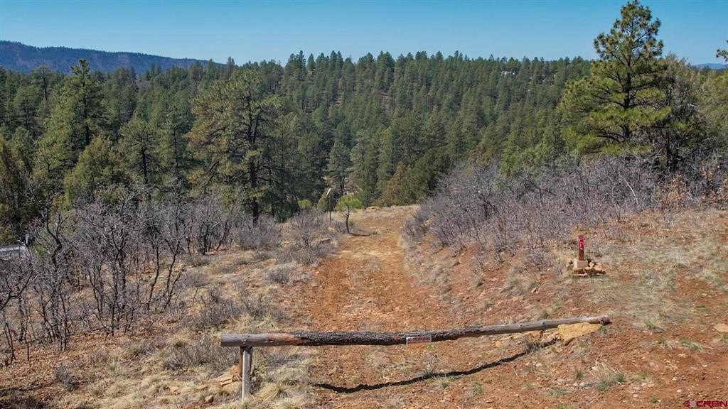 Single Family - 149/154 Engineer Point, Pagosa Springs, CO