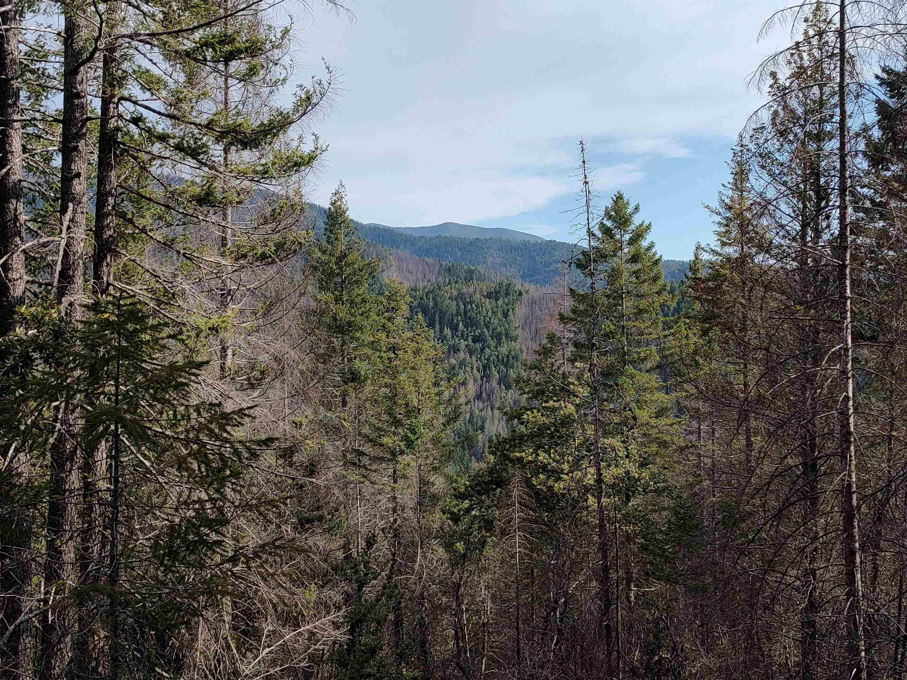 Plots and Land - 122180018 17N05, gasquet, CA