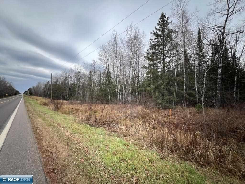 Other - TBD Townline Rd, Hibbing, MN
