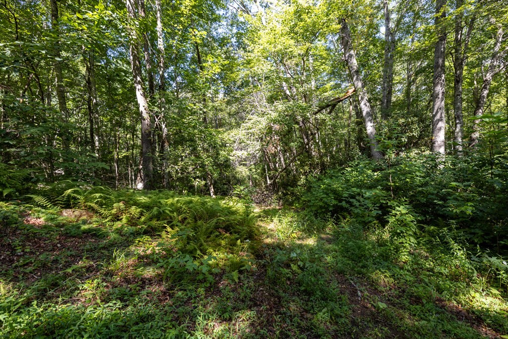 Other - E Cliff Rd lot: 35, Cullowhee, NC