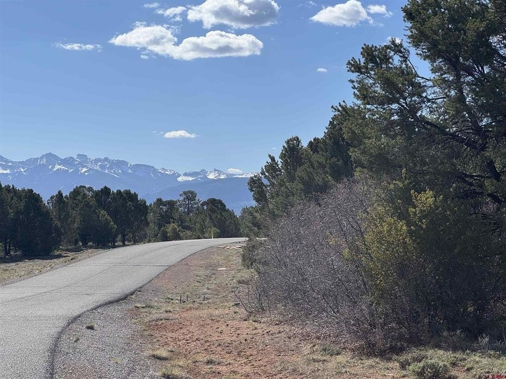 Other - 212 Fisher Canyon Drive, Ridgway, CO