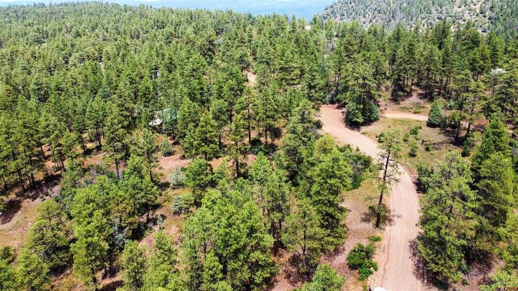 Single Family - 160 Far View, Pagosa Springs, CO