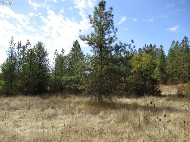 Other - Bellinger Scale Rd, Lebanon, OR