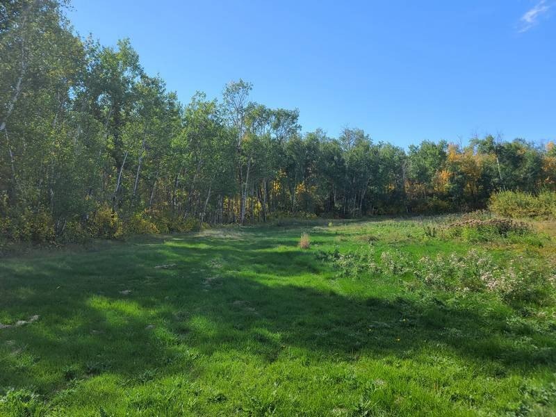 Other - Lot 17 Birchwood Heights 2nd Addition, Bottineau, ND