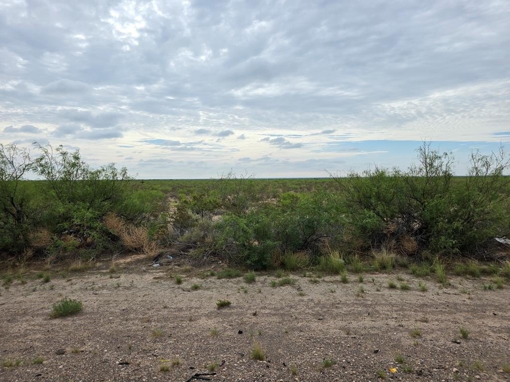 Other - Unknown TBD, Pecos, TX