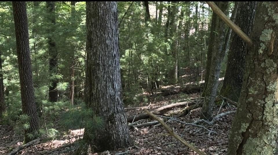 Other - Hannah Court lot: 3662, Ellijay, GA