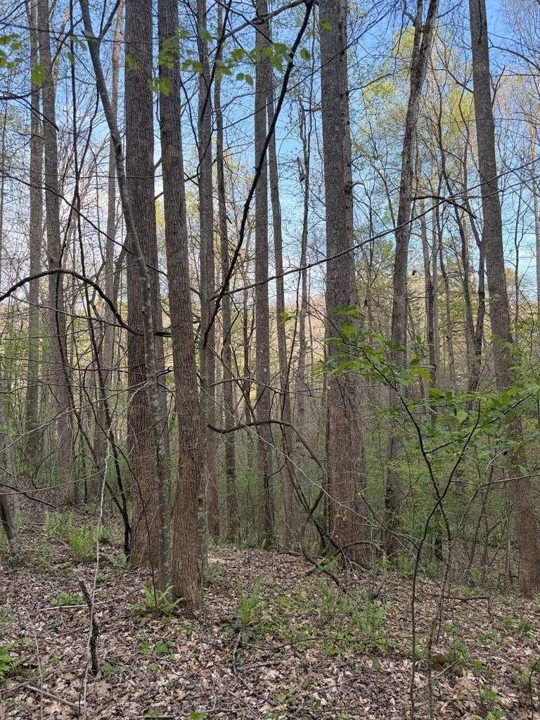 Other - Lot 2 Anns Lane, Hayesville, NC