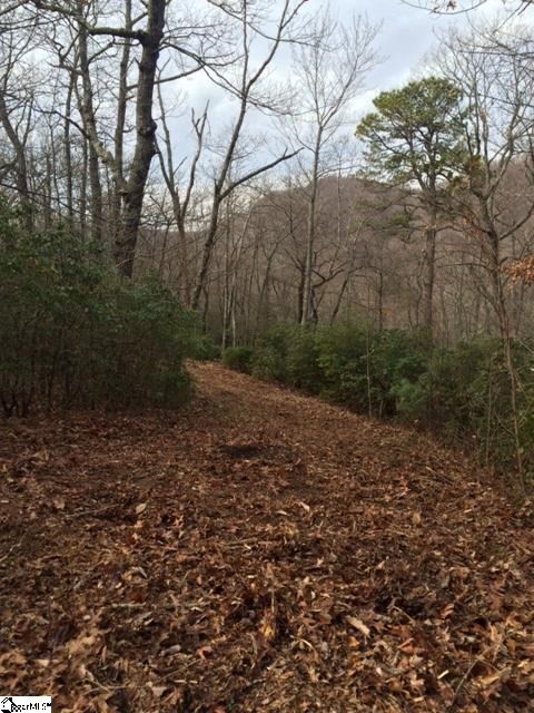Other - Panther Mountain Road lot: 4, Travelers Rest, SC