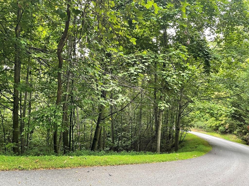 Other - Lot 32 J Mountain Harbour Lot, Hayesville, NC